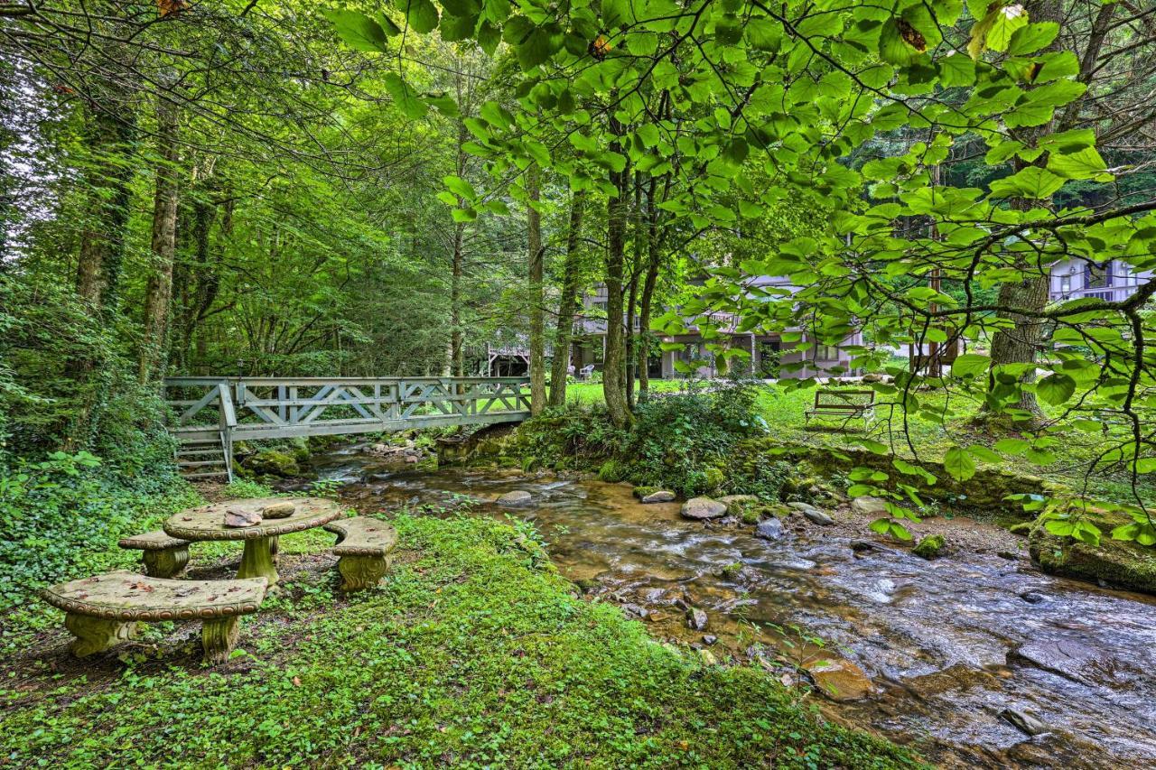 Creekside Roan Mountain Cabin Walk To Trails Exterior foto